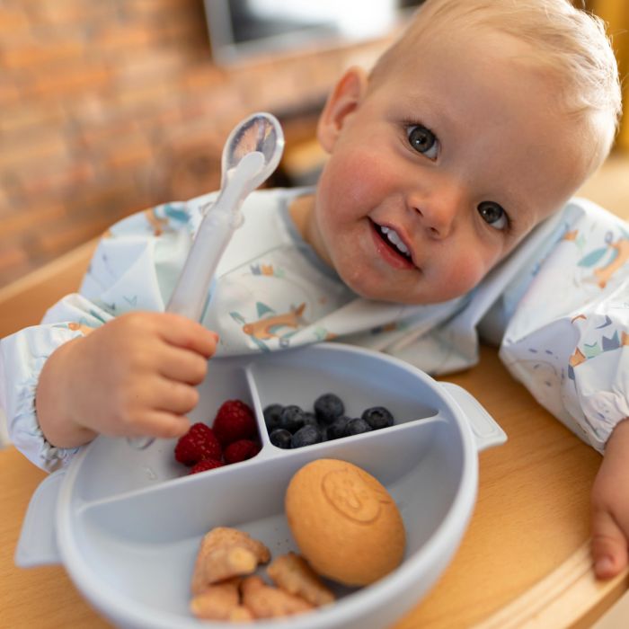 Babyono lėkštutė silikoninė neslystanti su dangteliu ir skyriais mėlyna 1661/01