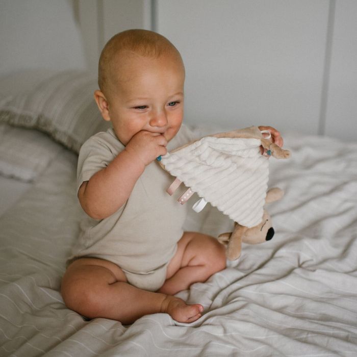 Babyono migdukas koala charlie 1559