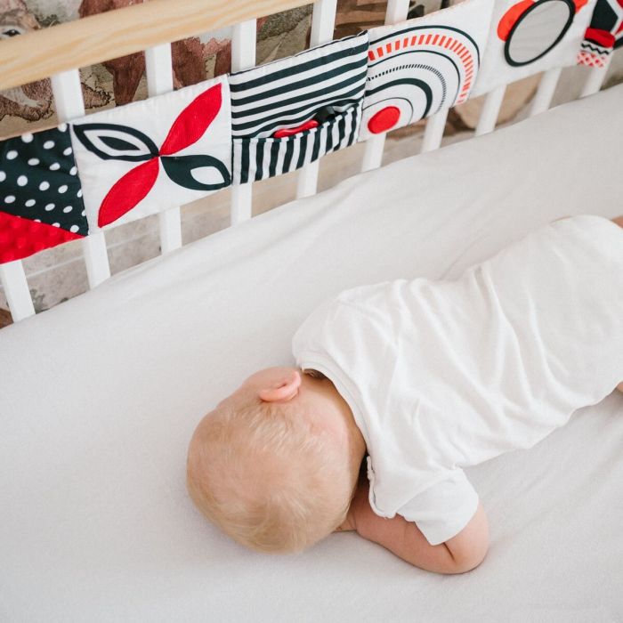 Babyono knygutė dvipusė jūros gelmėse 1563