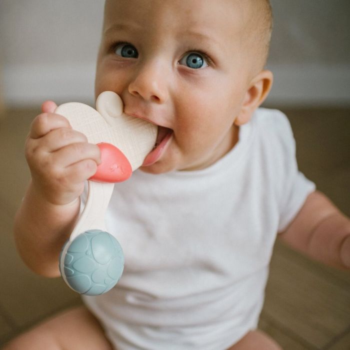 Barškutis kramtukas kūdikiui "FLOWER"