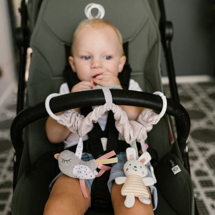 Žaislas vežimėliui/kėdutei "Nature"