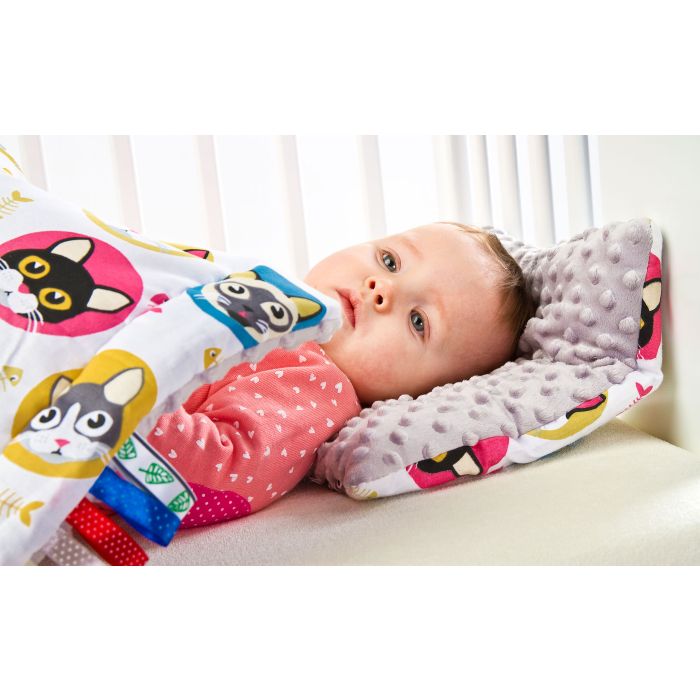 Komplektas "Minky Cat" pledas 100x75cm ir 35x25 pagalvė 