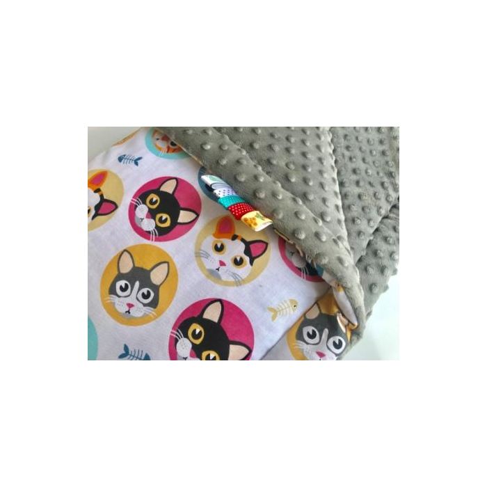 Minky pledukas su katinėliais