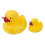 Vonios žaislas "2 DUCKS"